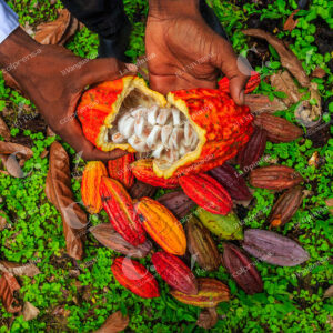 Tumaco