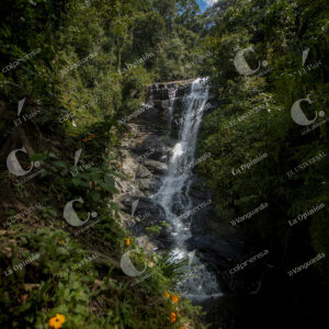 Santa Elena Cascadas