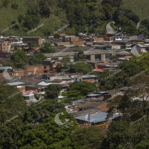 Municipio de Cisneros