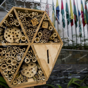 Abejas
