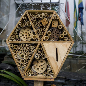 Abejas