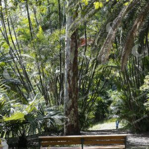 Jardín Botánico