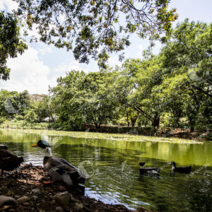 Jardín Botánico