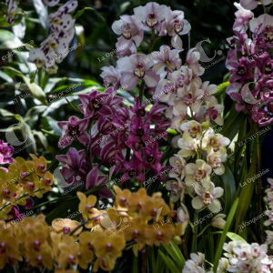 Jardín Botánico