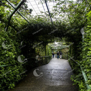 Parque Arví