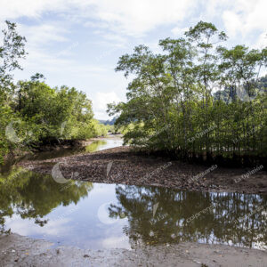 Parque Nacional Natural Utría