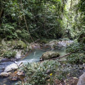 Cañón del Río Claro