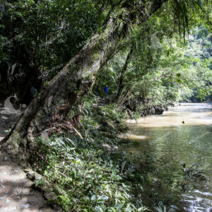 Cañón del Río Claro