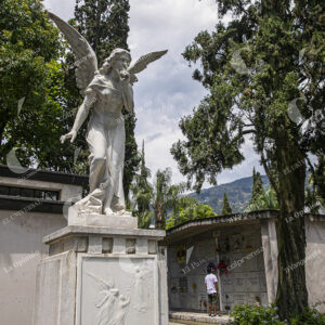 Cementerio Museo San Pedro