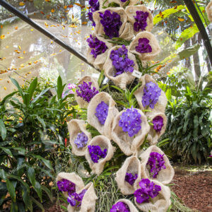 Jardín Botánico