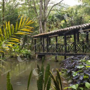 Jericó