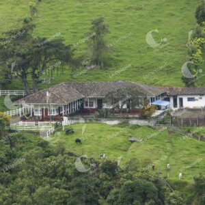 Valle del Cocora