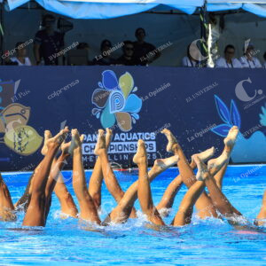 Natación Artística