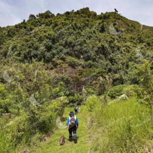 Parque Cerro Tusa