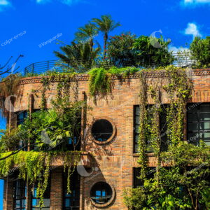 Medellín Edificios