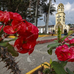Salento