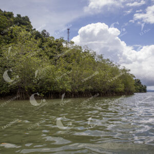Chocó