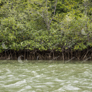 Chocó