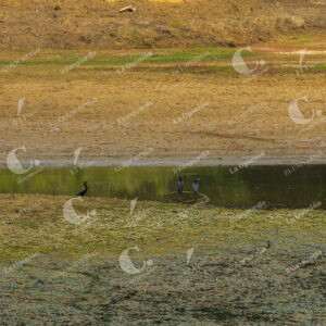 Embalse Piedras Blancas