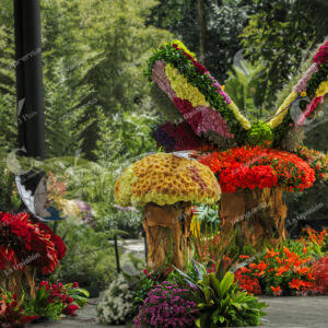 Exhibición de Orquídeas y Flores