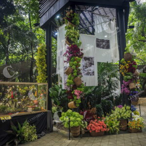 Exhibición de Orquídeas y Flores