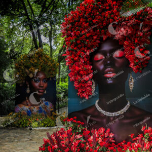 Exhibición de Orquídeas y Flores