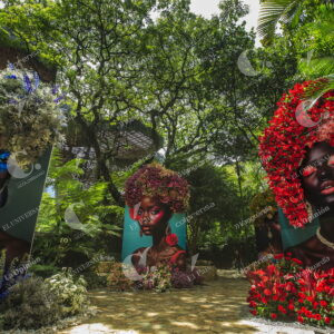 Exhibición de Orquídeas y Flores