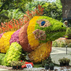 Exhibición de Orquídeas y Flores