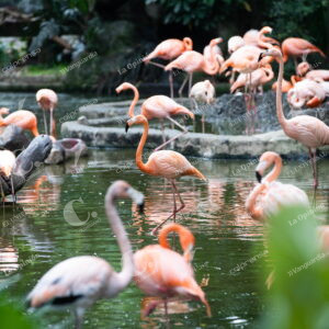 Parque de la Conservación