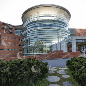 Hospital San Vicente Fundación