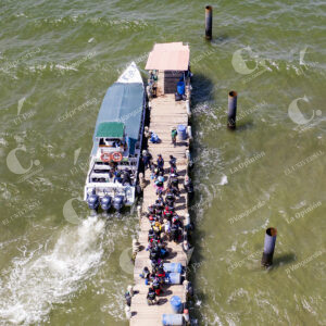 Migrantes