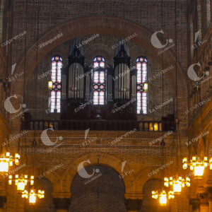 Catedral Metropolitana Órgano Musical