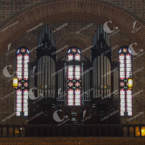 Catedral Metropolitana Órgano Musical