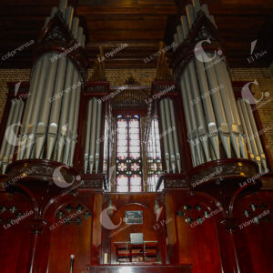Catedral Metropolitana Órgano Musical