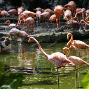 Parque de la Conservación