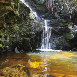 Páramo del Sol