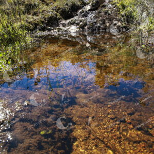 Páramo del Sol