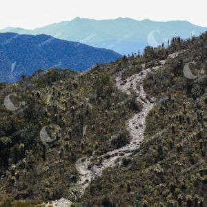 Páramo del Sol