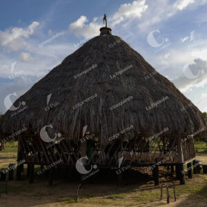 Vichada