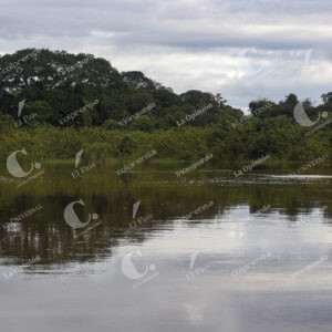 Vichada