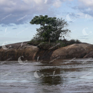 Vichada