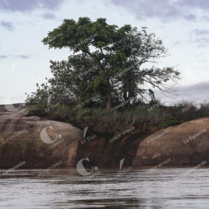 Vichada
