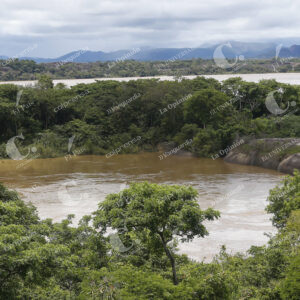 Vichada