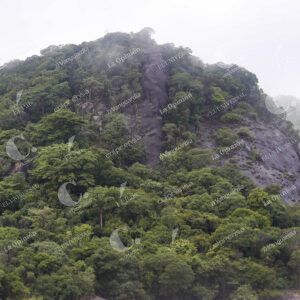 Vichada