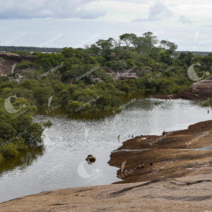 Vichada