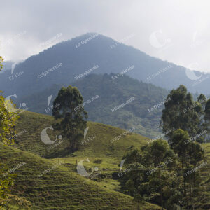 Alto de San Miguel