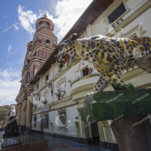 Tigre de Amalfi