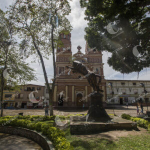 Tigre de Amalfi