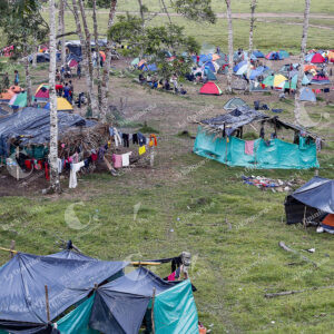 Migrantes