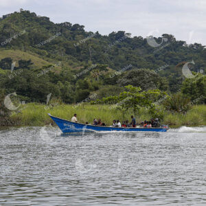 Migrantes